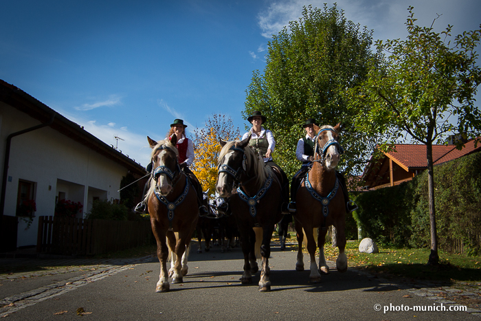 Leonhardiritt Iffeldorf 2012-117