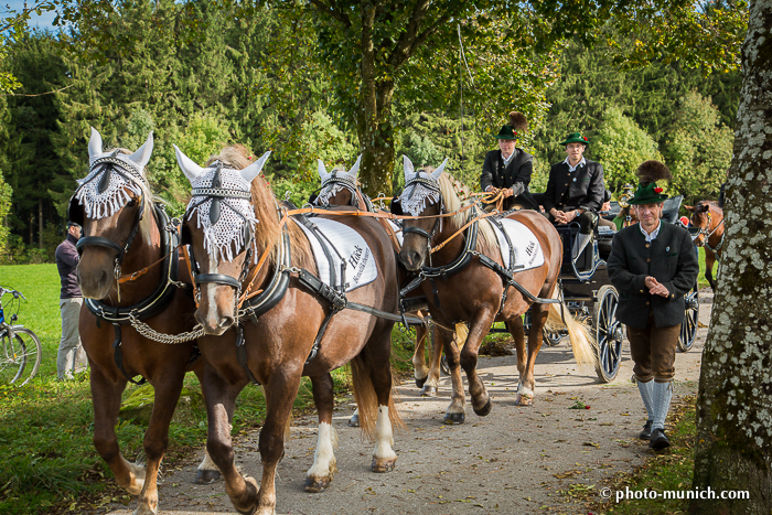 Leonhardiritt Iffeldorf 2012-167