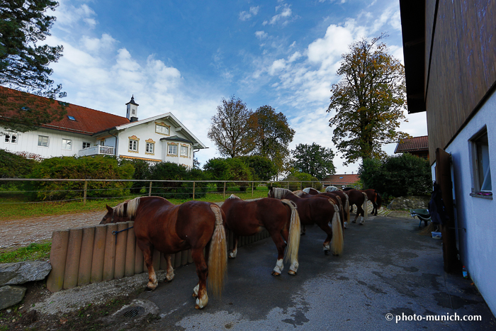 Leonhardiritt Iffeldorf 2012-20