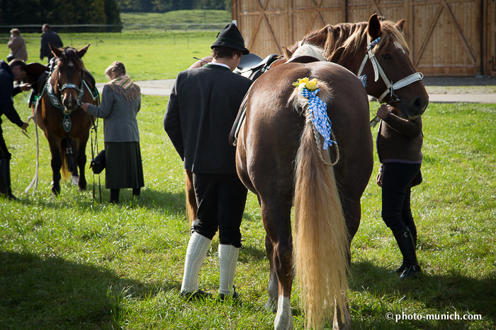 Leonhardiritt Iffeldorf 2012-56