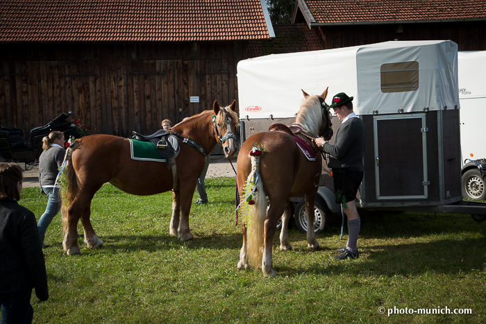 Leonhardiritt Iffeldorf 2012-58