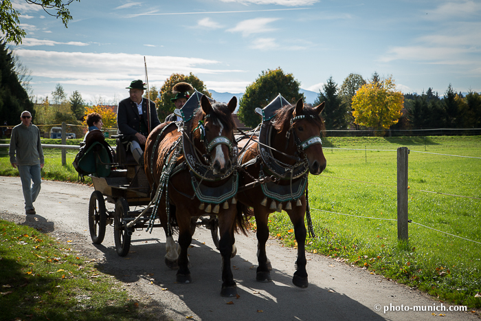 Leonhardiritt Iffeldorf 2012-62