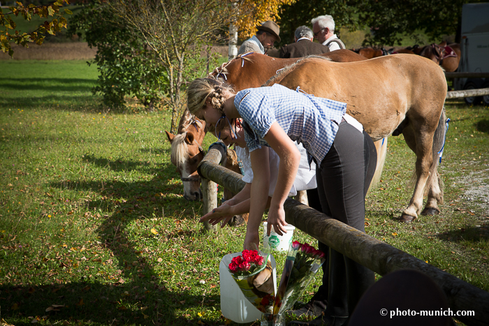 Leonhardiritt Iffeldorf 2012-65