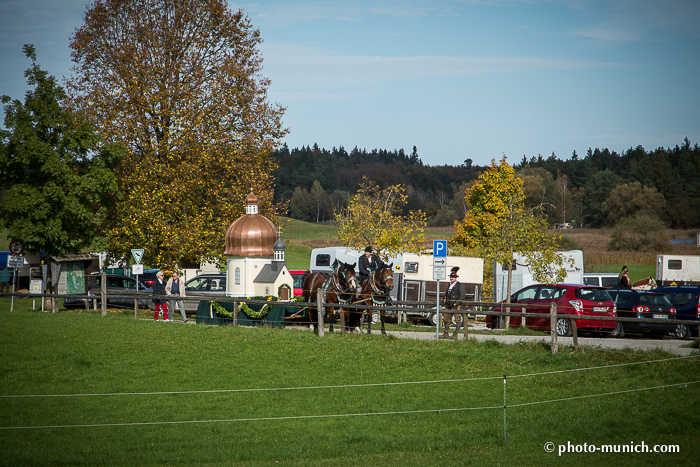 Leonhardiritt Iffeldorf 2012-81