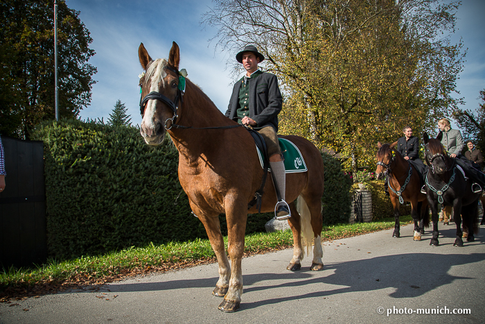 Leonhardiritt Iffeldorf 2012-91