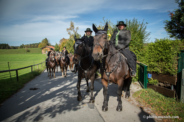 Leonhardiritt Iffeldorf 2012-95