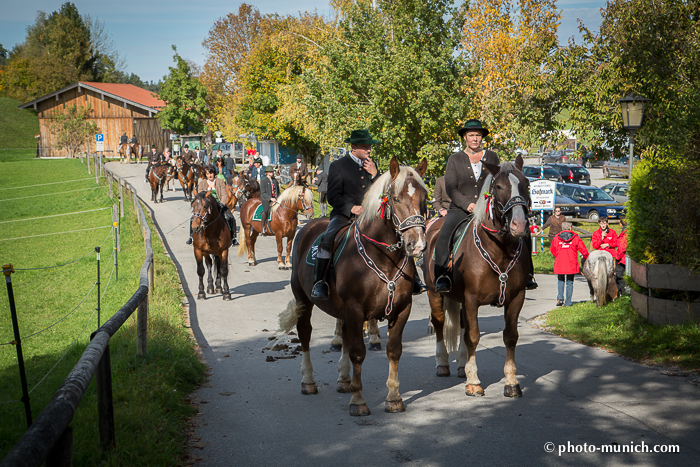 Leonhardiritt Iffeldorf 2012-96